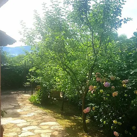 Il Frantoio- *